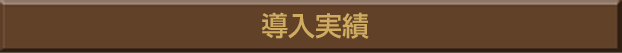 導入実績