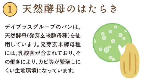 ロングライフパンの天然酵母のはたらき